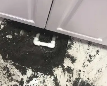 蜀山查漏水哪家好